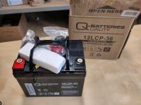 Q-Batteries blei-Akku 12V Batterie 12LCP-36 Sachsen-Anhalt - Merseburg Vorschau