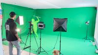 Maxi Foto Green Screen Molton Stoff Nordrhein-Westfalen - Frechen Vorschau