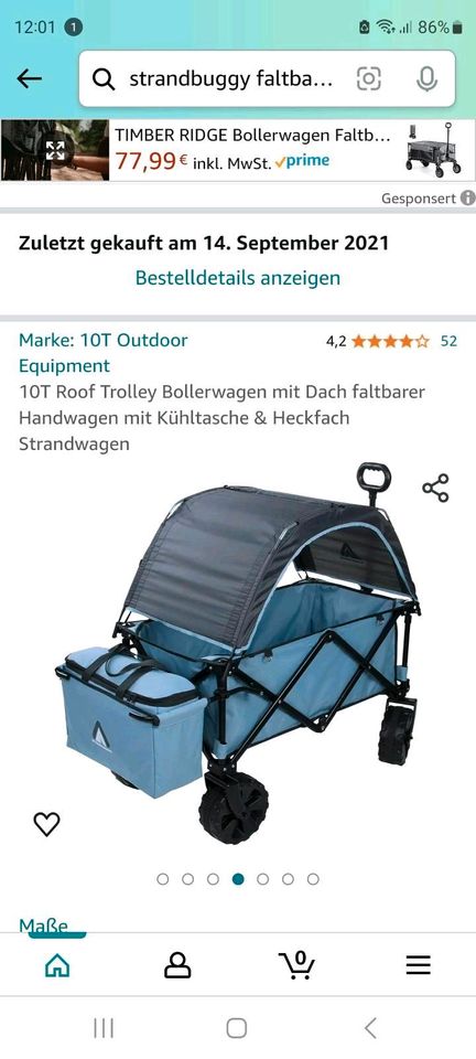 Strandbuggy faltbar mit Dach und Kühltasche in Lübeck