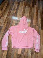 Puma Hoodie Kr. Altötting - Emmerting Vorschau