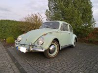 VW Käfer 1965 Nordrhein-Westfalen - Wachtendonk Vorschau