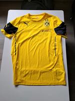 Dortmund Trikot Bayern - Schwanstetten Vorschau