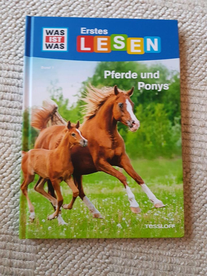 Was ist was Pferd und Ponys in Wattenbek