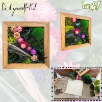 Moosbild selber machen - DIY-Kit Moosbild mit schönen Blüten Bayern - Oberbergkirchen Vorschau