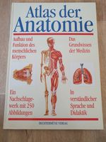 Atlas der Anatomie Bechtermünze Verlag Sachsen - Zwoenitz Vorschau