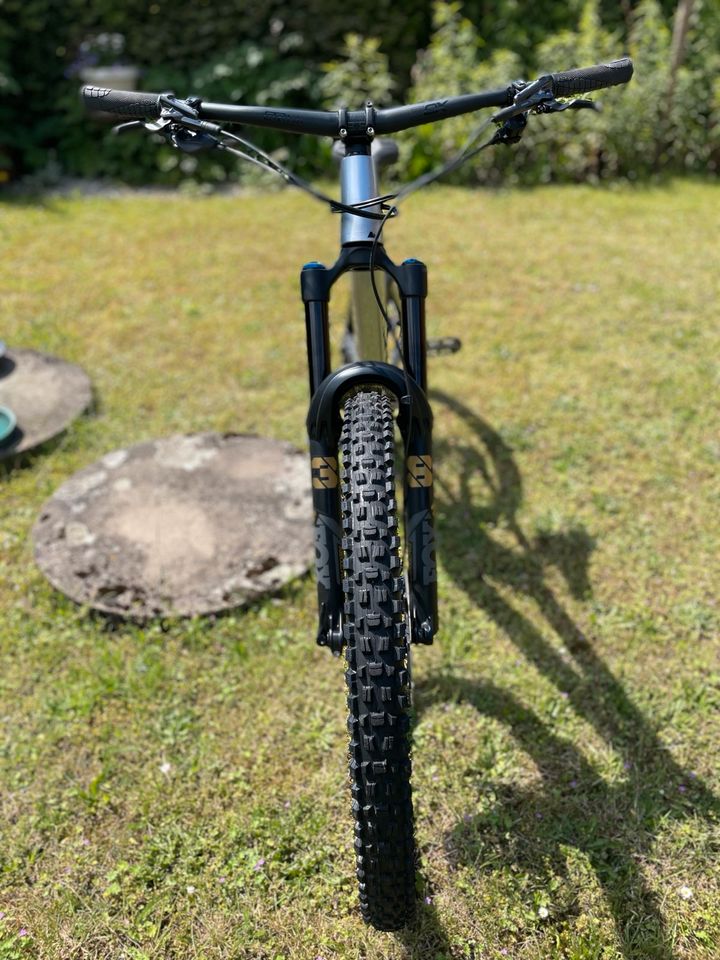 Canyon Strive CFR Underdog (L) MTB Enduro Downhill Fully Carbon in Detmold