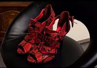 Schuhe in Schlangenleder-Optik - Rot/Schwarz Saarbrücken-Mitte - Malstatt Vorschau