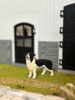 Schleich Farm World Hund Border Collie Schwarz weiss Neuwertig! Hessen - Bebra Vorschau