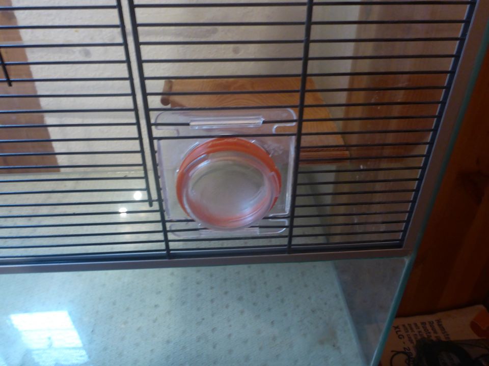 Glasterrarium Nagarium Gehege Hamster Maus Gerbil in Guntersblum