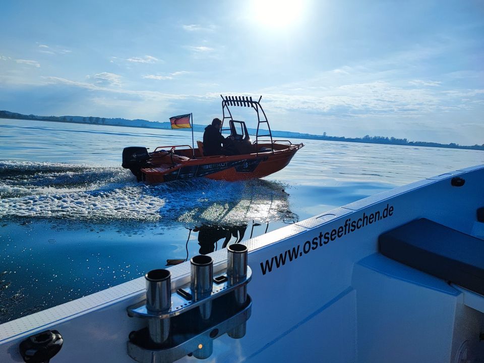 Zackenbarsch 15PS Führerscheinfrei Mietboot 8 Stunden Angelboot in Lütjenburg