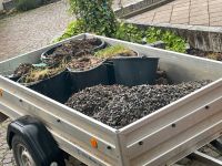 Zierschotter aus Granit zu verschenken Baden-Württemberg - Ettenheim Vorschau