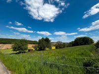 Sommerweide für Pferde zu verpachten Baden-Württemberg - Schöntal Vorschau