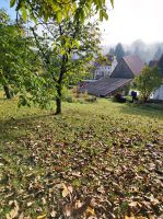 Lohnmäher,Mäh und Mulcharbeit, Forst mähen Bayern - Dietenhofen Vorschau