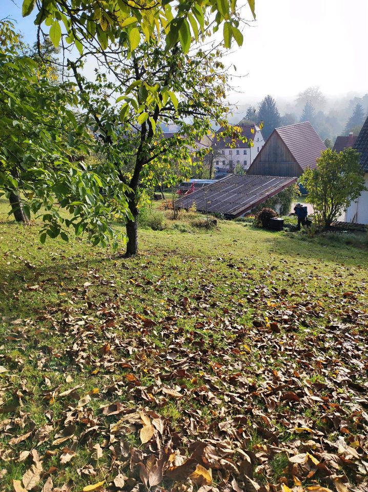 Lohnmäher,Mäh und Mulcharbeit, Forst mähen in Dietenhofen