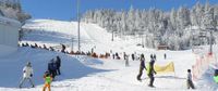 Skiurlaub Bayerischer Wald Skifahren Pröller Geißkopf Arber Bayern - Teisnach Vorschau