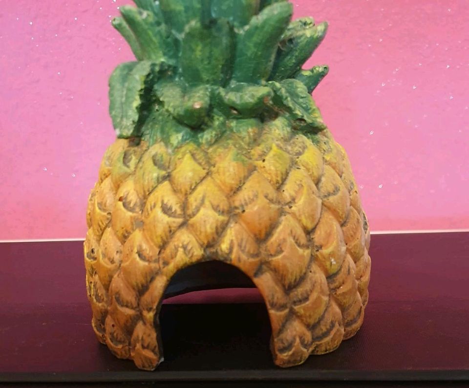 Große Aquarium Deko Spongebob Ananas Haus" in Hamburg