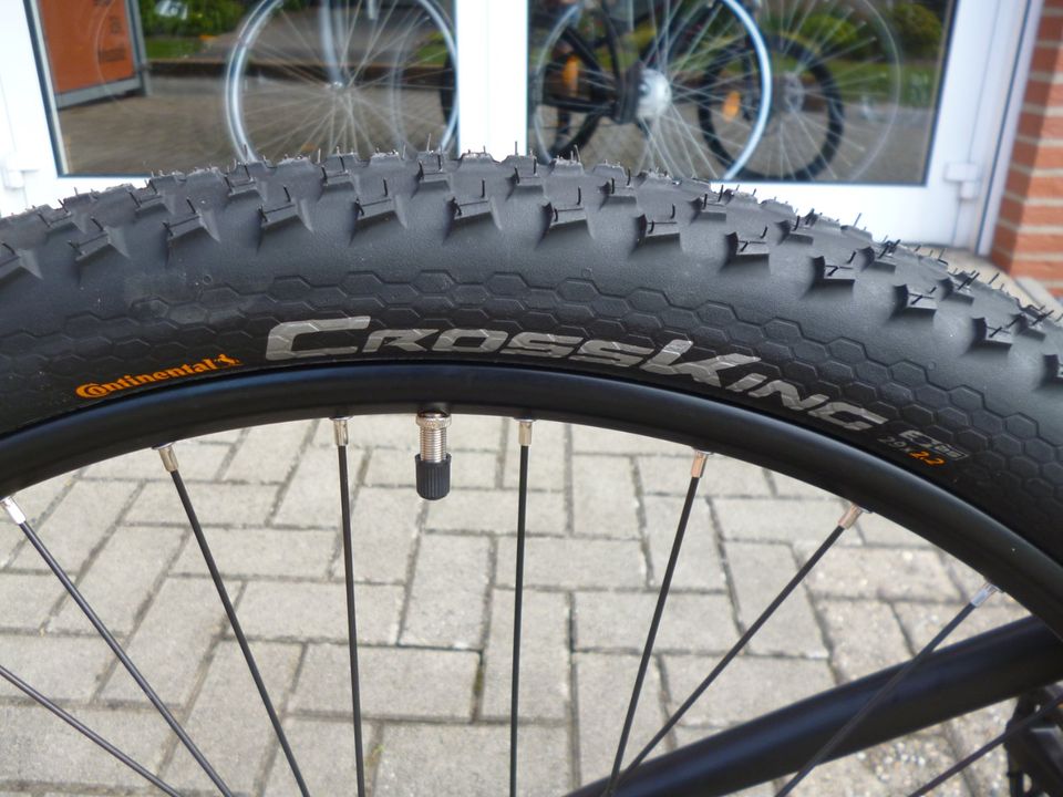 NEU !! Prophete e.MTB 29" Blaupunkt/ Disc- ZWEIRAD HERZBERG in Tecklenburg