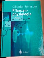 Schopfer Brennicke Pflanzenphysiologie NEUWERTIG Nordrhein-Westfalen - Schloß Holte-Stukenbrock Vorschau