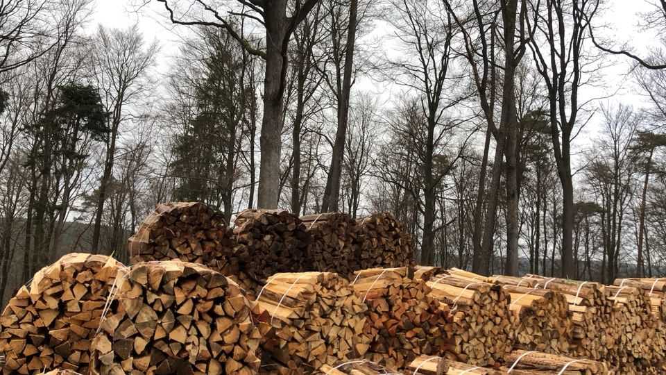 Brennholz Fichte Kiefer Meterholz in Eschau