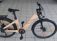 E-Bike MY Esel E-SUV Pro Plus+ Größe M, Esche Dresden - Briesnitz Vorschau