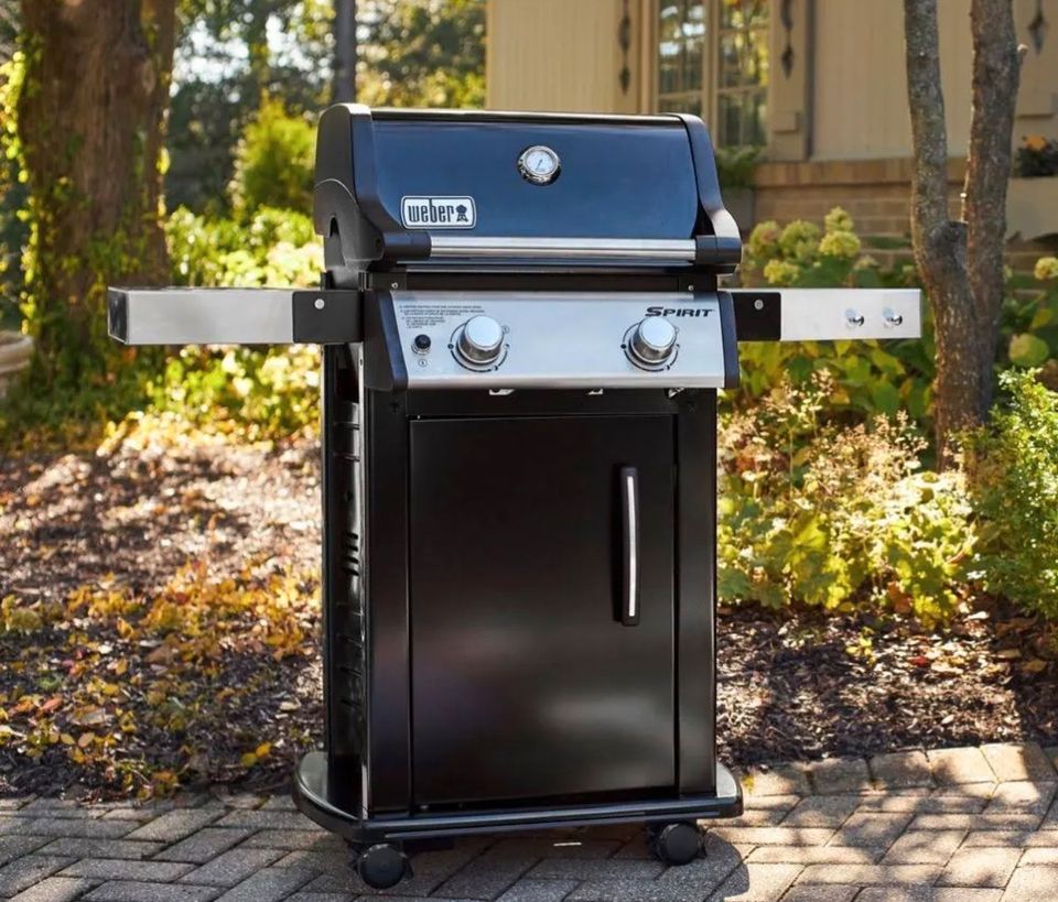 Weber E 215 GBS Gasgrill in Prüm