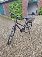 Bicycles EXT 600 28 Zoll Damenfahrrad Niedersachsen - Apen Vorschau