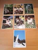 7 Postkarten Katzen Baden-Württemberg - Sulzburg Vorschau