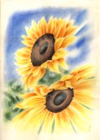 Blumenbild SONNENBLUMEN - FineArt Giclée Print 50 x 70 cm Bayern - Zorneding Vorschau