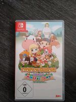 Story of Seasons - Friends of Mineral Town Nordrhein-Westfalen - Halver Vorschau