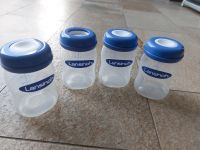 Lansinoh Milchaufbewahrung Flaschen Nordrhein-Westfalen - Kevelaer Vorschau
