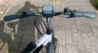 E-Bike Trekkingrad Damen Bayern - Eckental  Vorschau