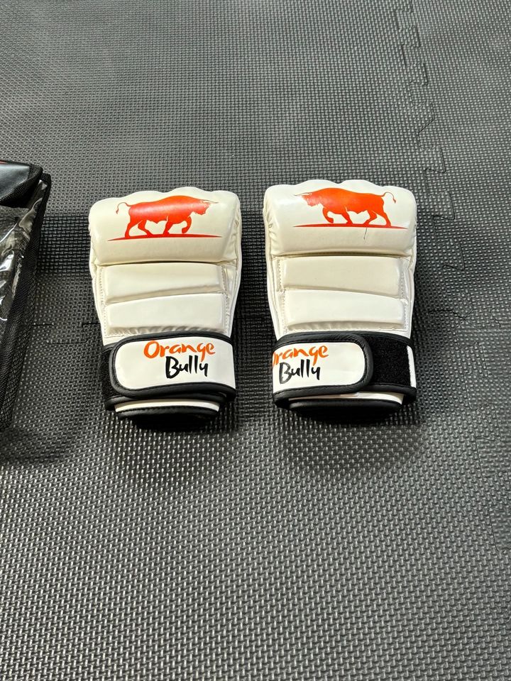 MMA Handschuhe in Karben