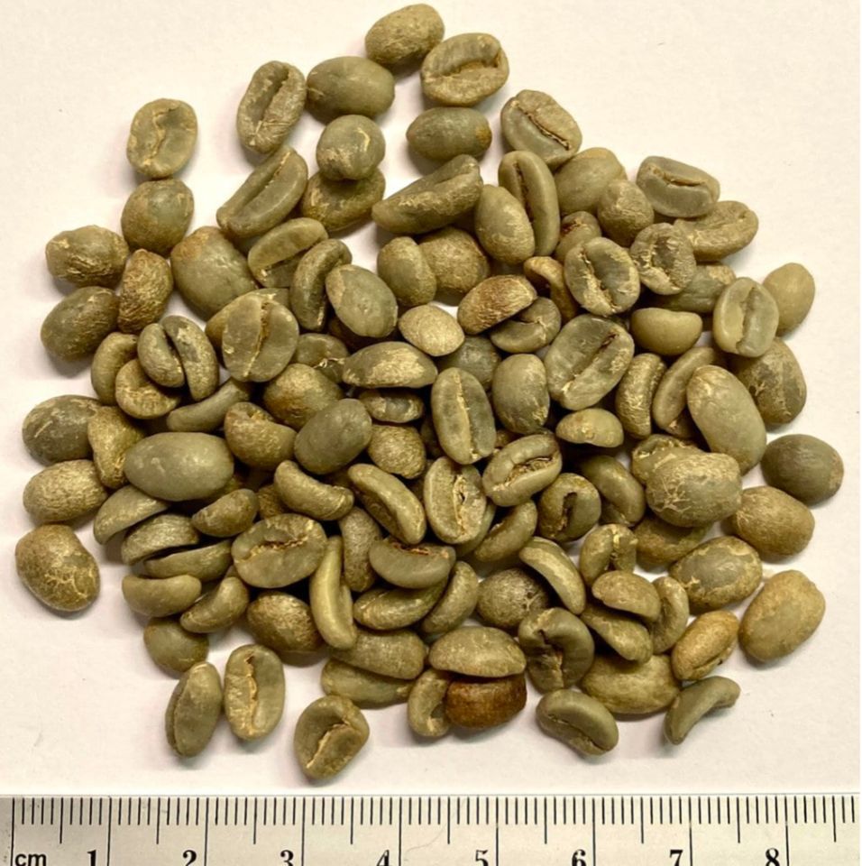 Rohkaffee Guatemala Huehuetenango - Arabica, grüner Kaffee, 1kg in Dresden