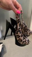 Iron Fist High Heel Leo Pleaser NEU 41 Niedersachsen - Göttingen Vorschau