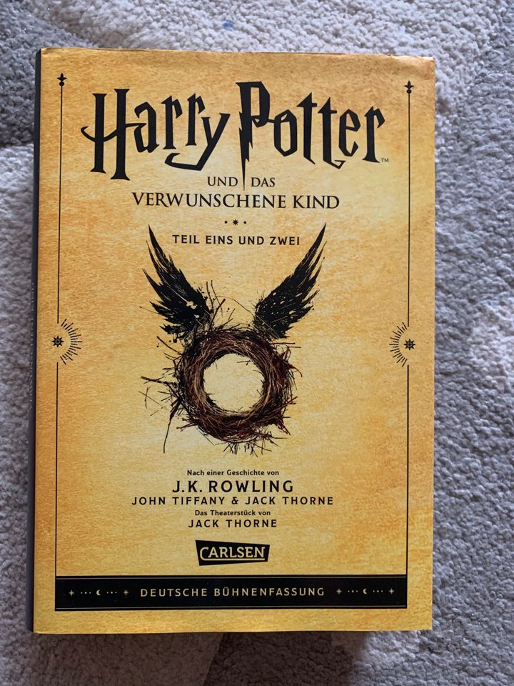 Buch Harry Potter in Holzheim