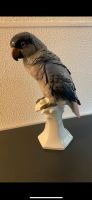Porzellan Papagei Figur Karl Ens 1.Wahl Essen - Rüttenscheid Vorschau