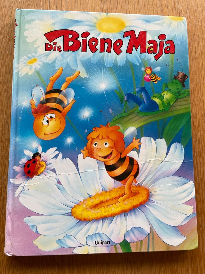 10 Kinderbücher, Bilderbücher u.a. Biene Maja, Disney, Löwenzahn in Norderheistedt