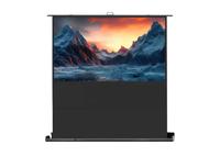 celexon Leinwand Ultramobil Plus Professional 200 x 113 cm Bayern - Bad Kötzting Vorschau