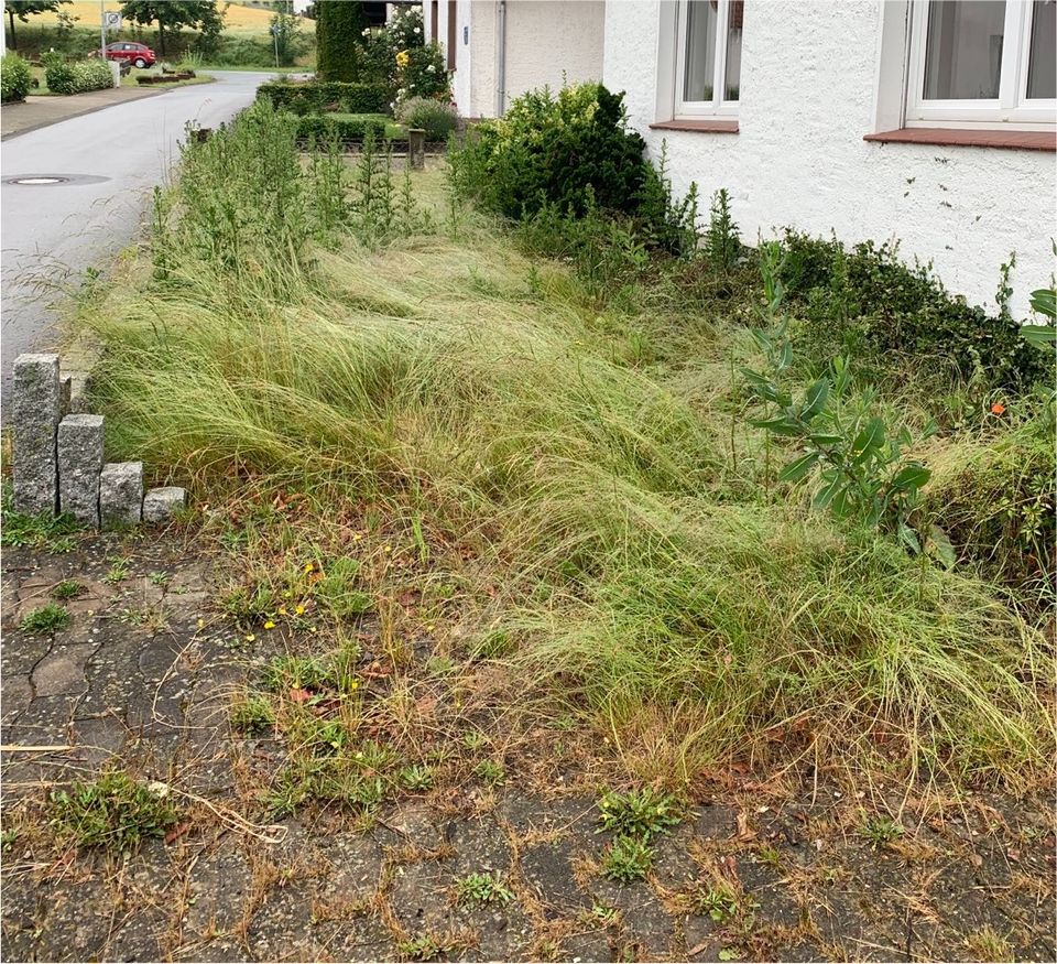 Gärtner Gartenarbeit Gartenpflege Haus u. Gartenservice in Bünde