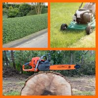 Gartenarbeit Rasen mähen Hecken schneiden Baumfällung Baumschnitt  uvm. Saarland - Blieskastel Vorschau