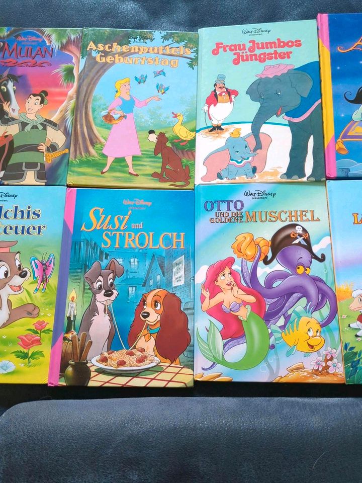 Disney Bücher verschiedener Art in Kerpen