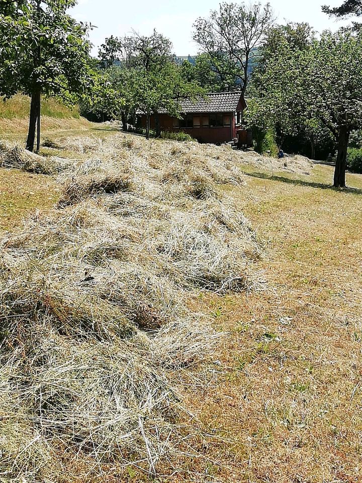 Kleine Heuballen zu verkaufen in Haiterbach