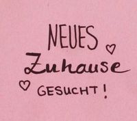 1 oder 2 Zi Wohnung im Taunus Raum gesucht Hessen - Kronberg im Taunus Vorschau