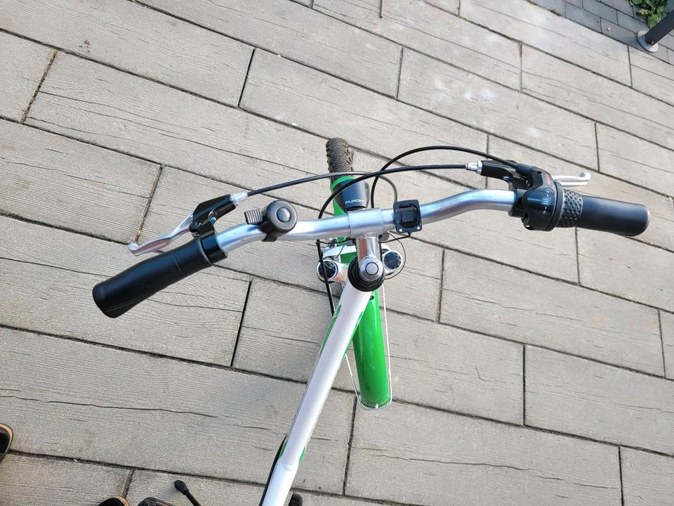 Mädchen Fahrrad 24 Zoll Pegasus in Schülp