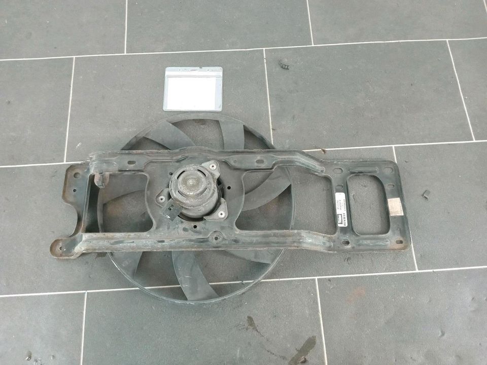 Kühlerlüfter Lüftermotor RENAULT CLIO 2(BB&CB)Benzin(8200098036) in Wuppertal