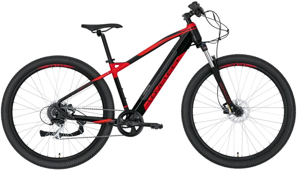 E-Bike MTB Lovelec Alkor Mountainbike Fahrrad 29 Zoll in Fürth