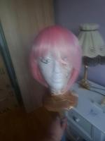Rosa kurzhaar Wig Sachsen - Hartha Vorschau
