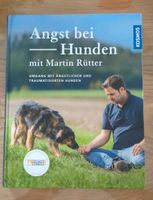 Martin Rütter - Angst bei Hunden Baden-Württemberg - Ilsfeld Vorschau