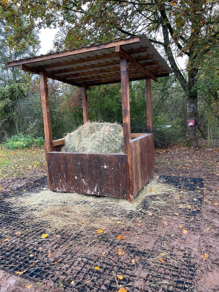 Rundballenraufe/ Heuraufe Holz max. 140 Rundballen in Merzig