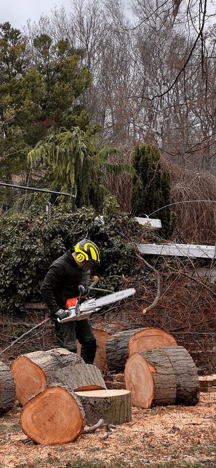 Baumfällung, Baumpflege, Gartenarbeiten, Bagger u. Abrissarbeiten in Naumburg (Saale)